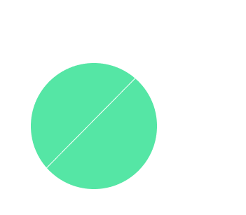 PowerSupporter custom software development team Melbourne